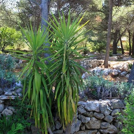 Casa vacanze Seaside House Cove Grebisce, Hvar - 3375 Jelsa (Hvar)