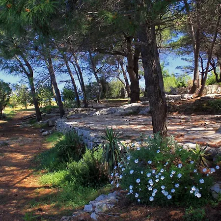 Seaside House Cove Grebisce, Hvar - 3375 *