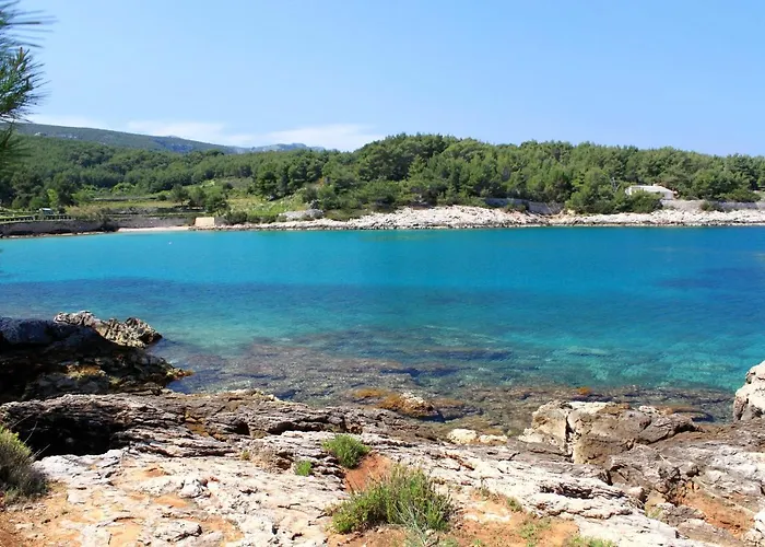 Seaside House Cove Grebisce, Hvar - 3375 Casa vacanze