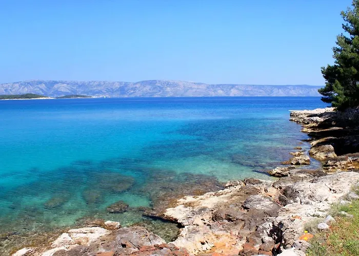 Seaside House Cove Grebisce, Hvar - 3375 Casa vacanze