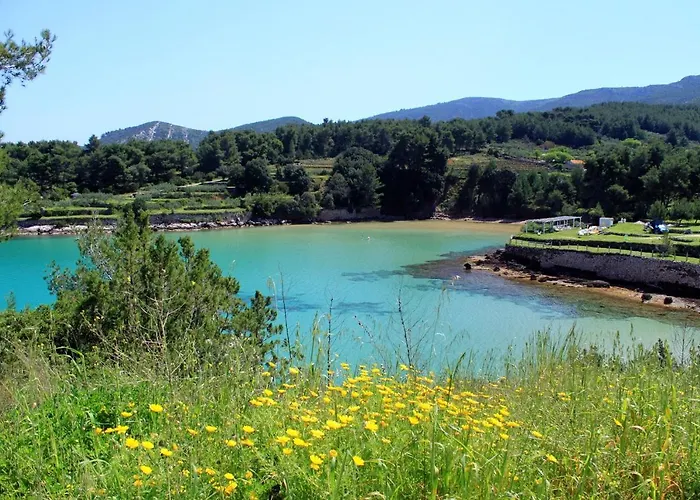 Seaside House Cove Grebisce, Hvar - 3375 * Jelsa (Hvar)