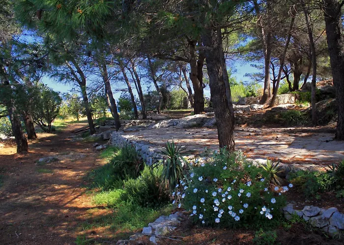 Seaside House Cove Grebisce, Hvar - 3375 *